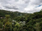 Bosque da Ribeira Lote / Terreno à venda na Anuar Donato