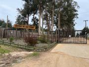 BOSQUE DE LAS LOMAS