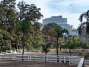 BOSQUE DE LAS LOMAS, VENTA DE TERRENO 5 MIN DE PASEO...