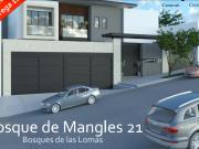 Bosque de Mangles 21