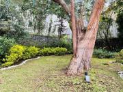 Bosque de Ocotes Bosques de las Lomas