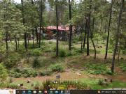 Bosque espectacular terreno Reserva San Francisco