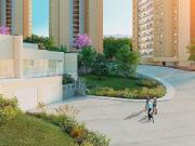 ?BOSQUE REAL SAYABES! IMPRESIONANTES VISTAS