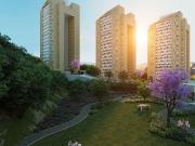 ?BOSQUE REAL SAYABES! IMPRESIONANTES VISTAS