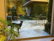 BOSQUES DE LAS LOMAS, PRECIOSA CASA EN VENTA, DEL ARQ....