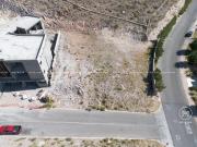 BOSQUES DE SAN FRANCISCO