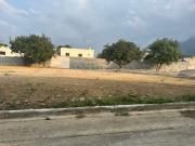 Bosques de Valle Alto