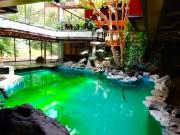 Bosques Del Pedregal, Tlalpan, CDMX / CASA ADJUDICADA REMATE