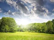 Bossée 37240 Programme neuf terrain neuf à vendre