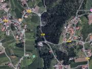 Bouça centro Couto Barcelos