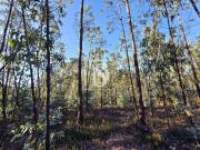 Bouça em Laúndos Póvoa de Varzim, Póvoa de Varzim Bouça em Laúndos Póvoa de Varzim, Póvoa de Varzim