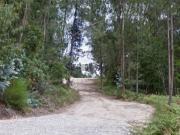 Bouça, terreno em zona de produção florestal em...