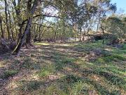 Bouloc Vente Terrain 31