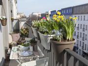 Bourg la Reine Vente Appartement 92