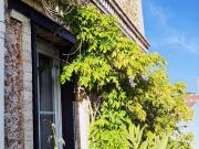 Bourg la Reine Vente Maison 92