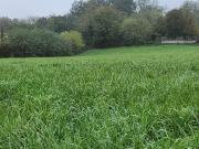 Bourg Saint Christophe Vente Terrain 01