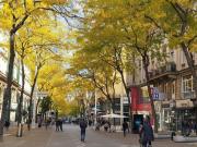 Boutique 77 m² + 74 m² LAGER FUSSGÄNGERZONE Mariahilfer...