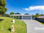 Bowerbird Beauty An Entertainer's Delight!