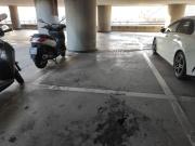 Box / Garage in affitto a Genova GE