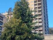 Box / Garage in vendita a Genova GE