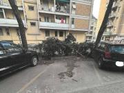 Box / Garage in vendita a Genova GE