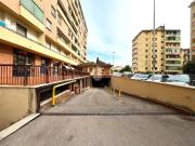 Box in affitto a Firenze