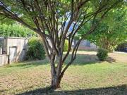 Bozzano 11 vani 400mq