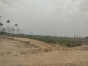 Bptp B Block Plot 250 Sq. Yd. Plot in Sector 85...
