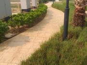 BPTP Park Elite Premium 3.5 Bedroom 1100 Sq. Ft....