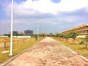 BPTP Parklands 250 Sq.Yd. Plot in Sector 76 Faridabad