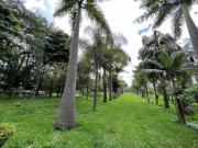 BR 060 30 MINUTOS DE TAGUATINGA 500 METROS DO ASFALTO