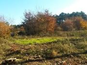 Brach Vente Terrain 33