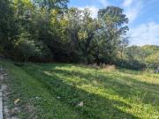 Bracken Woods Ln, Cincinnati, Plot For Sale