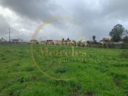 Braga Braga 85861955