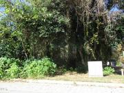 Bragg St, Raleigh, Plot For Sale