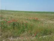 Braine 02220 Programme neuf terrain neuf à vendre