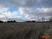 Bram 11150 Achat / Vente terrain