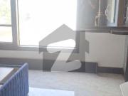 Brand New 100 Sqy Bungalow With Basement For Rent In...