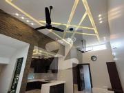 Brand New 10 Marla Upper Portion For Rent