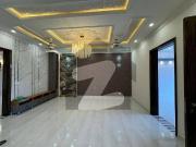 Brand New 10 Marla Upper Portion For Rent In Tulip Block