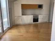 Brand new 1 bedroom apartment with river view, equipped...