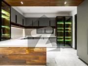 Brand New 1 Kanal Luxurious Full Furnished House For...