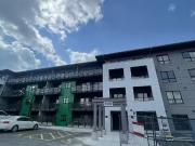 Brand New 1b 1b + DEN at the Maverick 2000 Building in...