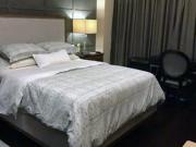 Brand New 2 Bedroom Condominium Unit for Rent at The...