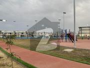 Brand New 350 Sq Yds SDH For Rent At Falcon Complex New...