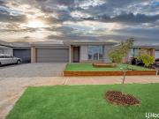 Brand New 4 Bedroom Home in the Heart of Brookfield!