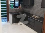 Brand New 5 Marla Designer Corner House For Sale Tulip...