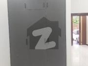 Brand New 5 Marla Double Storey Full House For Rent In F...