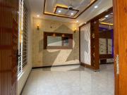 Brand New 5 Marla Luxury House Available For Rent In...