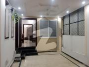 Brand New N 5 Marla Elegant House Available For Rent In...